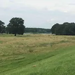 Feriehus Zauberhaftes Tiny House Mit Kamin An Der Elbe *