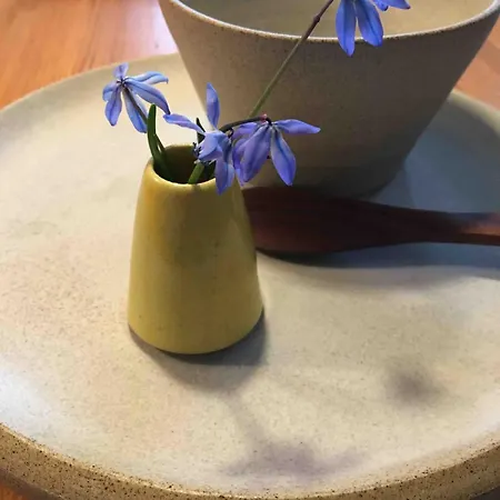 Zauberhaftes Tiny House Mit Kamin An Der Elbe