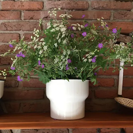 Zauberhaftes Tiny House Mit Kamin An Der Elbe * Hittbergen