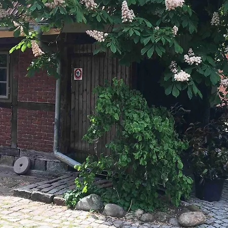 Zauberhaftes Tiny House Mit Kamin An Der Elbe Hittbergen