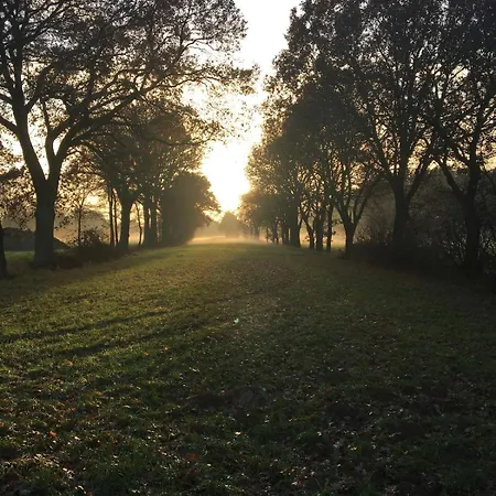 Hébergement de vacances Zauberhaftes Tiny House Mit Kamin An Der Elbe Hittbergen