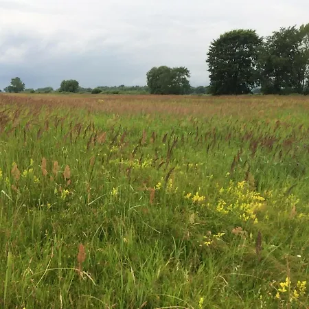 Zauberhaftes Tiny House Mit Kamin An Der Elbe * Hittbergen