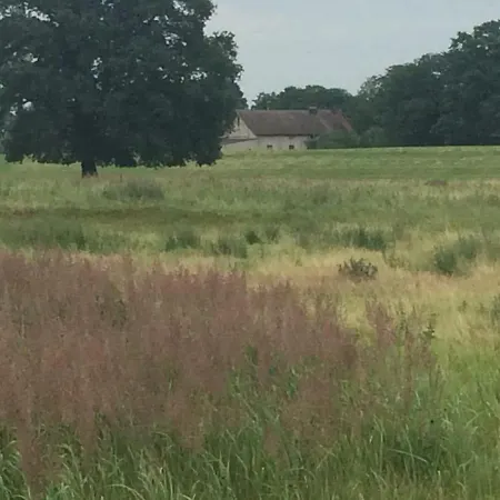 Zauberhaftes Tiny House Mit Kamin An Der Elbe Hébergement de vacances Hittbergen