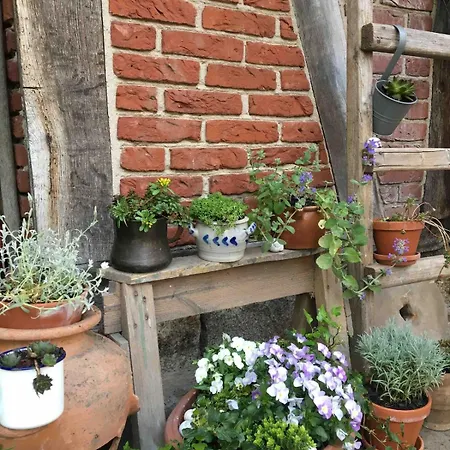 Zauberhaftes Tiny House Mit Kamin An Der Elbe Hébergement de vacances *
