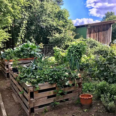 Zauberhaftes Tiny House Mit Kamin An Der Elbe * Hittbergen