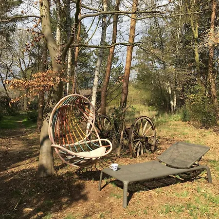 Zauberhaftes Tiny House Mit Kamin An Der Elbe Ferienhaus