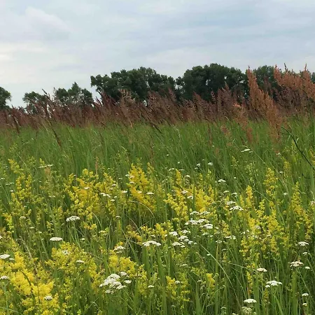 Zauberhaftes Tiny House Mit Kamin An Der Elbe Hébergement de vacances *