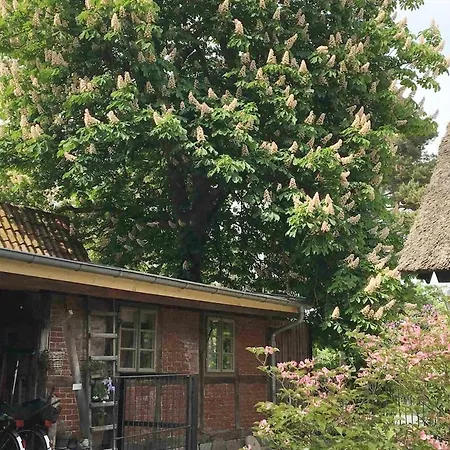 Zauberhaftes Tiny House Mit Kamin An Der Elbe Hébergement de vacances Hittbergen