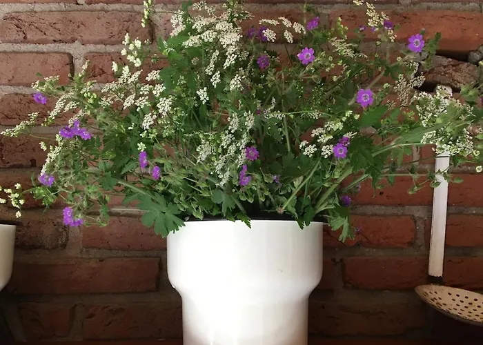 Zauberhaftes Tiny House Mit Kamin An Der Elbe * Hittbergen