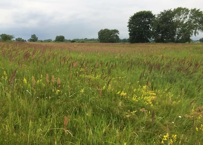 Zauberhaftes Tiny House Mit Kamin An Der Elbe * Hittbergen