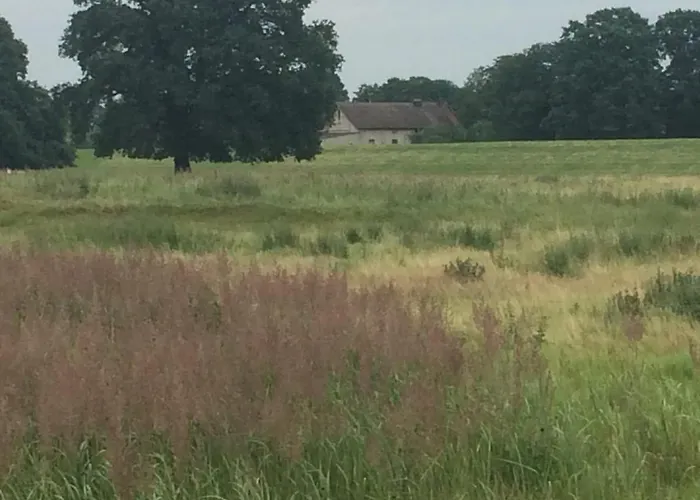 Zauberhaftes Tiny House Mit Kamin An Der Elbe Casa vacanze Hittbergen