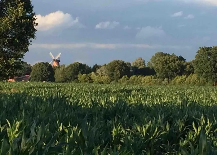 Zauberhaftes Tiny House Mit Kamin An Der Elbe Hittbergen