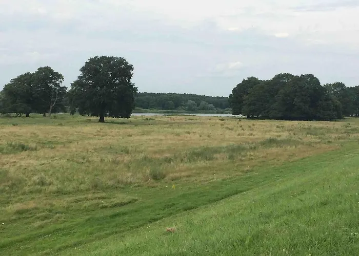 Σπίτι διακοπών Zauberhaftes Tiny House Mit Kamin An Der Elbe *