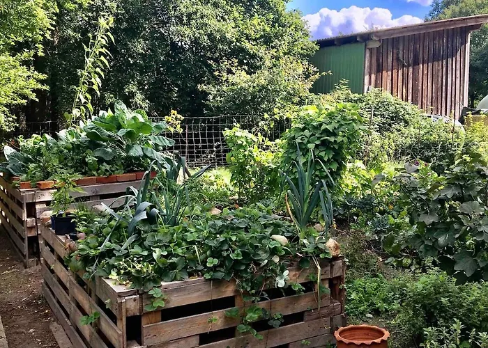 Zauberhaftes Tiny House Mit Kamin An Der Elbe * Hittbergen