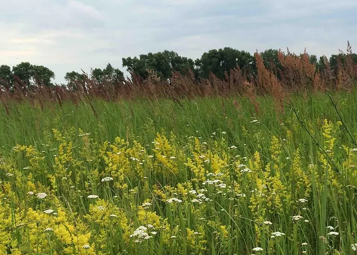 Zauberhaftes Tiny House Mit Kamin An Der Elbe Σπίτι διακοπών *