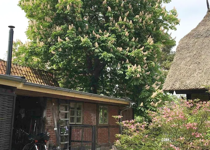 Zauberhaftes Tiny House Mit Kamin An Der Elbe Casa vacanze Hittbergen
